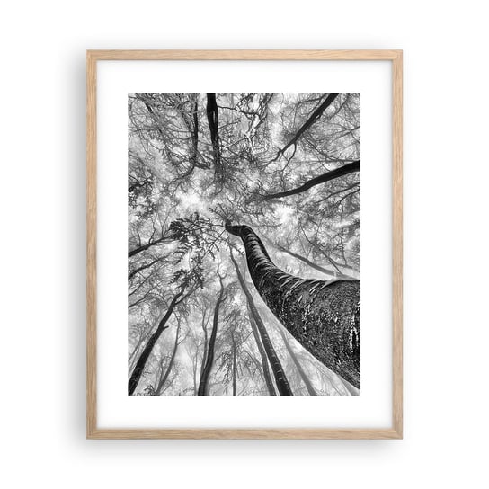 Obraz - Plakat - Wyścig do światła - 40x50cm - Las Drzewa Natura - Foto Plakaty w ramie koloru jasny dąb do Salonu Sypialni ARTTOR ARTTOR