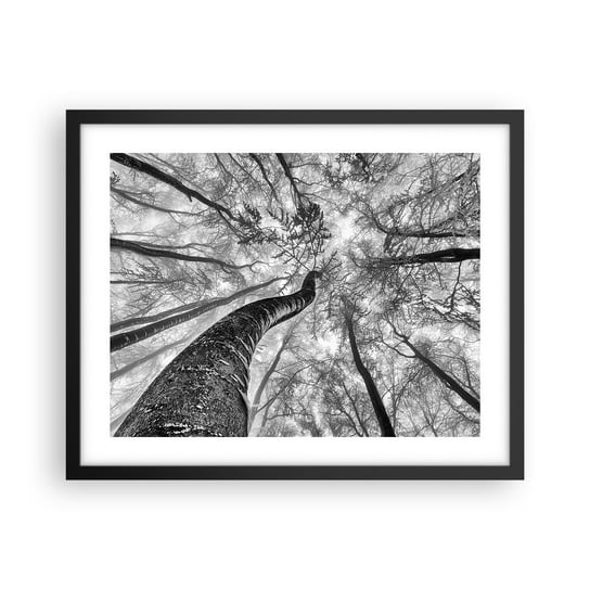 Obraz - Plakat - Wyścig do światła - 50x40cm - Las Drzewa Natura - Foto Plakaty w ramie koloru czarnego do Salonu Sypialni ARTTOR ARTTOR