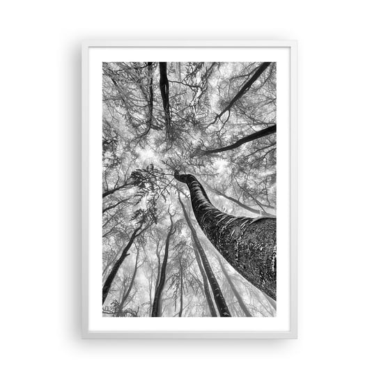 Obraz - Plakat - Wyścig do światła - 50x70cm - Las Drzewa Natura - Nowoczesny modny obraz Plakat rama biała ARTTOR ARTTOR