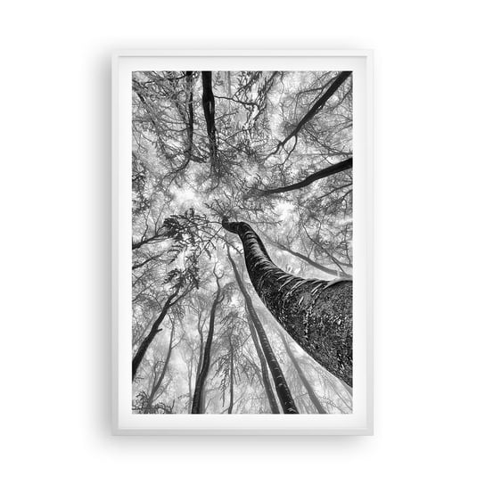 Obraz - Plakat - Wyścig do światła - 61x91cm - Las Drzewa Natura - Foto Plakaty na ścianę w ramie białej - Plakat do Salonu Sypialni ARTTOR ARTTOR