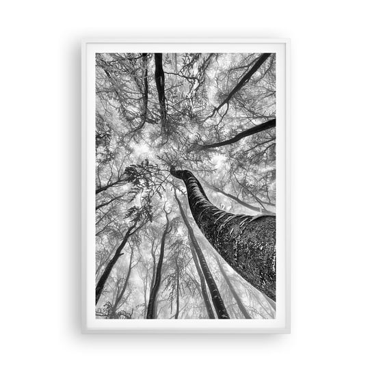 Obraz - Plakat - Wyścig do światła - 70x100cm - Las Drzewa Natura - Foto Plakaty w ramie koloru białego do Salonu Sypialni ARTTOR ARTTOR