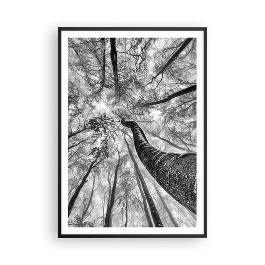 Obraz - Plakat - Wyścig do światła - 70x100cm - Las Drzewa Natura - Foto Plakaty w ramie koloru czarnego do Salonu Sypialni ARTTOR ARTTOR