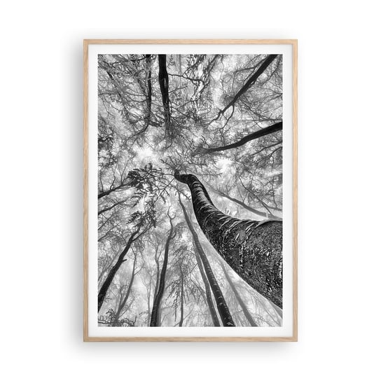 Obraz - Plakat - Wyścig do światła - 70x100cm - Las Drzewa Natura - Foto Plakaty w ramie koloru jasny dąb do Salonu Sypialni ARTTOR ARTTOR