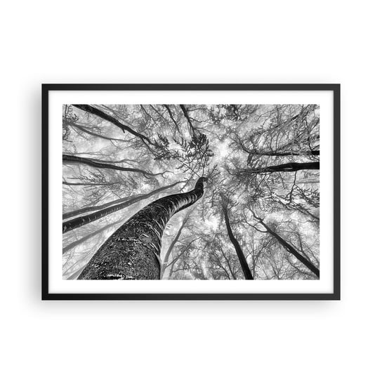 Obraz - Plakat - Wyścig do światła - 70x50cm - Las Drzewa Natura - Nowoczesny modny obraz Plakat czarna rama ARTTOR ARTTOR