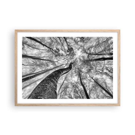 Obraz - Plakat - Wyścig do światła - 70x50cm - Las Drzewa Natura - Nowoczesny modny obraz Plakat rama jasny dąb ARTTOR ARTTOR