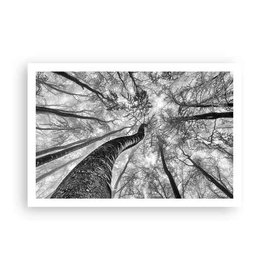 Obraz - Plakat - Wyścig do światła - 91x61cm - Las Drzewa Natura - Foto Plakaty na ścianę bez ramy - Plakat do Salonu Sypialni ARTTOR ARTTOR