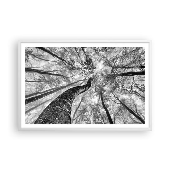 Obraz - Plakat - Wyścig do światła - 91x61cm - Las Drzewa Natura - Foto Plakaty na ścianę w ramie białej - Plakat do Salonu Sypialni ARTTOR ARTTOR