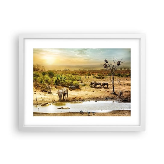 Obraz - Plakat - "Z Edenu zaś wypływała rzeka…" - 40x30cm - Sawanna Zwierzęta Afryka - Foto Plakaty na ścianę w ramie białej - Plakat do Salonu Sypialni ARTTOR ARTTOR