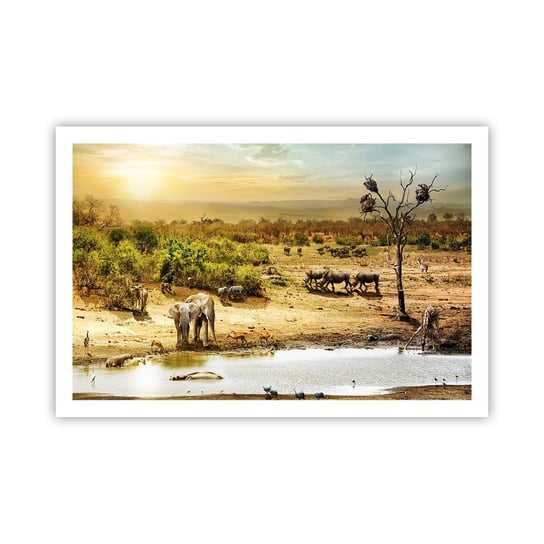 Obraz - Plakat - "Z Edenu zaś wypływała rzeka…" - 91x61cm - Sawanna Zwierzęta Afryka - Foto Plakaty na ścianę bez ramy - Plakat do Salonu Sypialni ARTTOR ARTTOR