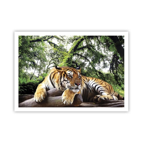 Obraz - Plakat - Z wyrazami szacunku - 100x70cm - Tygrys Zwierzęta Drapieżnik - Foto Plakaty bez ramy na ścianę do Salonu Sypialni ARTTOR ARTTOR