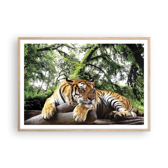 Obraz - Plakat - Z wyrazami szacunku - 100x70cm - Tygrys Zwierzęta Drapieżnik - Foto Plakaty w ramie koloru jasny dąb do Salonu Sypialni ARTTOR ARTTOR