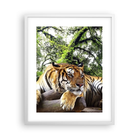 Obraz - Plakat - Z wyrazami szacunku - 40x50cm - Tygrys Zwierzęta Drapieżnik - Foto Plakaty w ramie koloru białego do Salonu Sypialni ARTTOR ARTTOR
