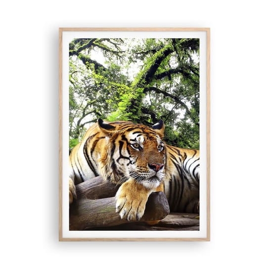 Obraz - Plakat - Z wyrazami szacunku - 70x100cm - Tygrys Zwierzęta Drapieżnik - Foto Plakaty w ramie koloru jasny dąb do Salonu Sypialni ARTTOR ARTTOR