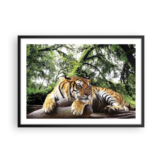 Obraz - Plakat - Z wyrazami szacunku - 70x50cm - Tygrys Zwierzęta Drapieżnik - Nowoczesny modny obraz Plakat czarna rama ARTTOR ARTTOR