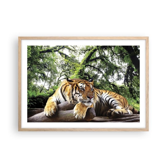 Obraz - Plakat - Z wyrazami szacunku - 70x50cm - Tygrys Zwierzęta Drapieżnik - Nowoczesny modny obraz Plakat rama jasny dąb ARTTOR ARTTOR