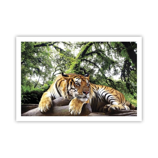 Obraz - Plakat - Z wyrazami szacunku - 91x61cm - Tygrys Zwierzęta Drapieżnik - Foto Plakaty na ścianę bez ramy - Plakat do Salonu Sypialni ARTTOR ARTTOR