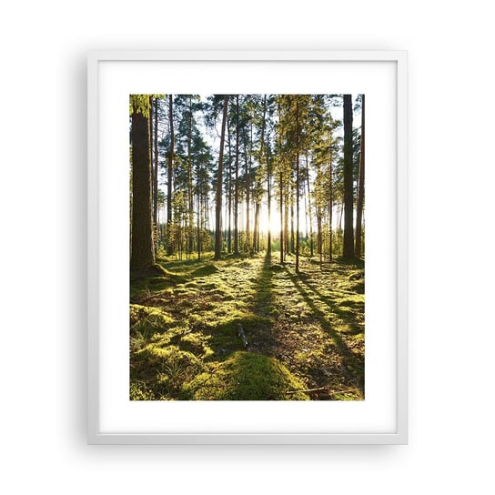 Obraz - Plakat - …Za siedmioma lasami - 40x50cm - Krajobraz Las Natura - Foto Plakaty w ramie koloru białego do Salonu Sypialni ARTTOR ARTTOR