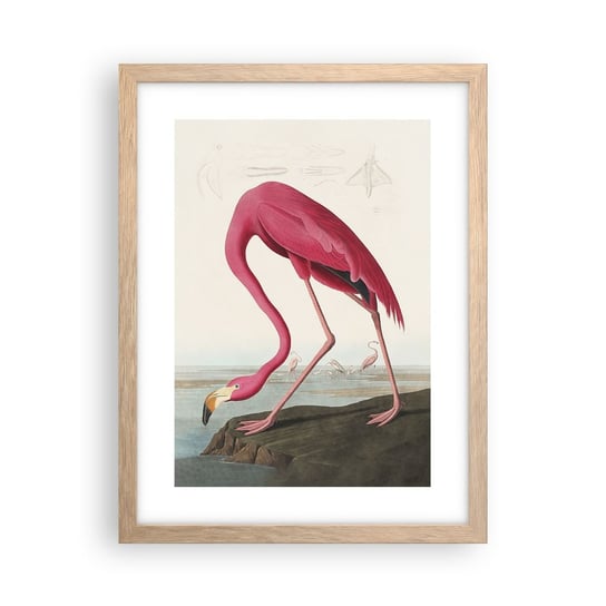 Obraz - Plakat - Zadziwiające stworzenie - 30x40cm - Flaming Ptak Sztuka - Foto Plakaty na ścianę w ramie jasny dąb - Plakat do Salonu Sypialni ARTTOR ARTTOR