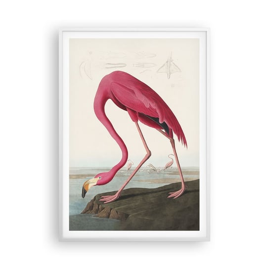 Obraz - Plakat - Zadziwiające stworzenie - 70x100cm - Flaming Ptak Sztuka - Foto Plakaty w ramie koloru białego do Salonu Sypialni ARTTOR ARTTOR