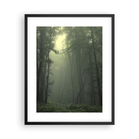 Obraz - Plakat - Zanim się obudzi - 40x50cm - Krajobraz Las Natura - Foto Plakaty w ramie koloru czarnego do Salonu Sypialni ARTTOR ARTTOR