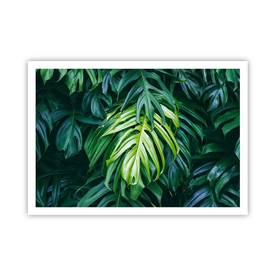 Obraz - Plakat - Zanurzyć się w świeżości - 100x70cm - Roślina Tropikalna Liść Monstery Natura - Foto Plakaty bez ramy na ścianę do Salonu Sypialni ARTTOR ARTTOR