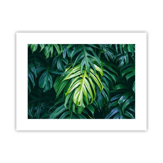 Obraz - Plakat - Zanurzyć się w świeżości - 40x30cm - Roślina Tropikalna Liść Monstery Natura - Foto Plakaty na ścianę bez ramy - Plakat do Salonu Sypialni ARTTOR ARTTOR