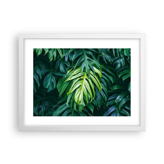 Obraz - Plakat - Zanurzyć się w świeżości - 40x30cm - Roślina Tropikalna Liść Monstery Natura - Foto Plakaty na ścianę w ramie białej - Plakat do Salonu Sypialni ARTTOR ARTTOR