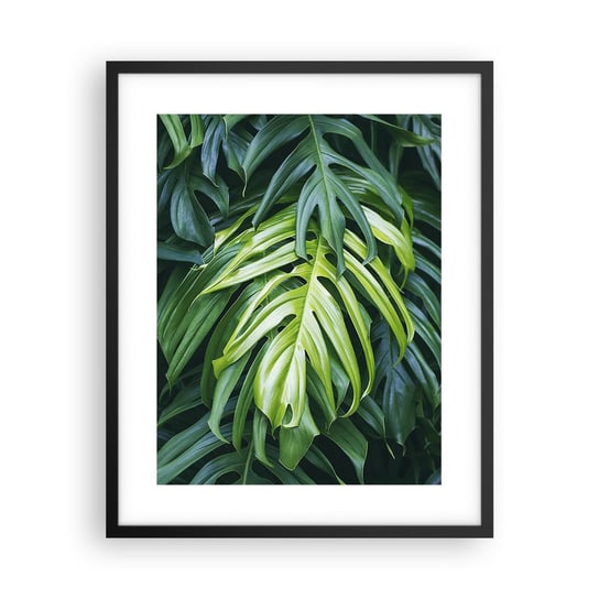 Obraz - Plakat - Zanurzyć się w świeżości - 40x50cm - Roślina Tropikalna Liść Monstery Natura - Foto Plakaty w ramie koloru czarnego do Salonu Sypialni ARTTOR ARTTOR