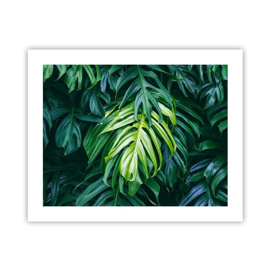 Obraz - Plakat - Zanurzyć się w świeżości - 50x40cm - Roślina Tropikalna Liść Monstery Natura - Foto Plakaty bez ramy do Salonu Sypialni ARTTOR ARTTOR