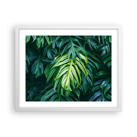 Obraz - Plakat - Zanurzyć się w świeżości - 50x40cm - Roślina Tropikalna Liść Monstery Natura - Foto Plakaty w ramie koloru białego do Salonu Sypialni ARTTOR ARTTOR