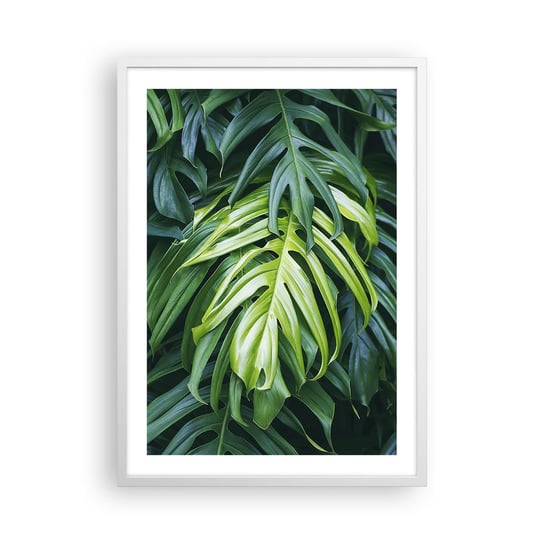 Obraz - Plakat - Zanurzyć się w świeżości - 50x70cm - Roślina Tropikalna Liść Monstery Natura - Nowoczesny modny obraz Plakat rama biała ARTTOR ARTTOR