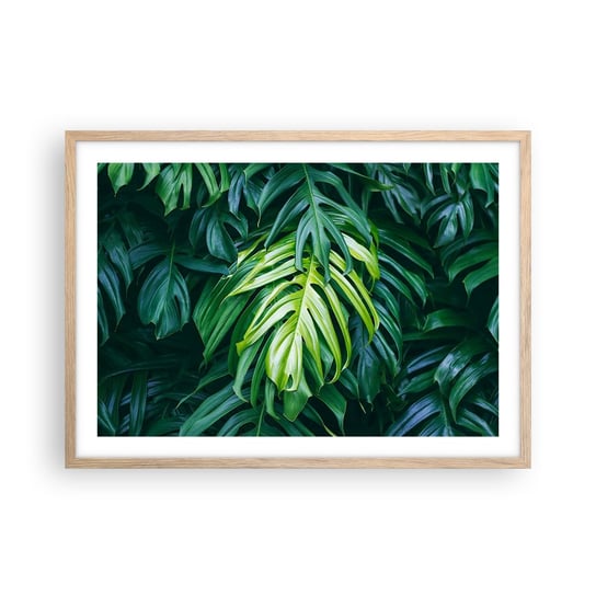 Obraz - Plakat - Zanurzyć się w świeżości - 70x50cm - Roślina Tropikalna Liść Monstery Natura - Nowoczesny modny obraz Plakat rama jasny dąb ARTTOR ARTTOR