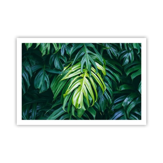 Obraz - Plakat - Zanurzyć się w świeżości - 91x61cm - Roślina Tropikalna Liść Monstery Natura - Foto Plakaty na ścianę bez ramy - Plakat do Salonu Sypialni ARTTOR ARTTOR