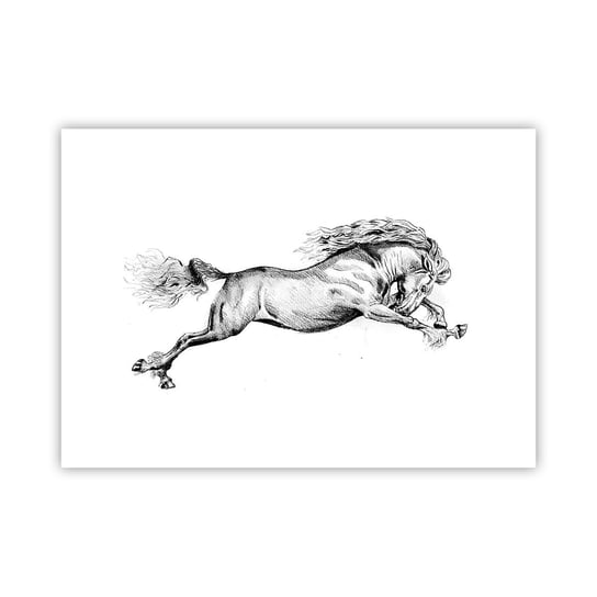 Obraz - Plakat - Zatrzymany w galopie - 70x50cm - Koń Zwierzęta Grafika - Nowoczesny modny obraz Plakat bez ramy do Salonu Sypialni ARTTOR ARTTOR