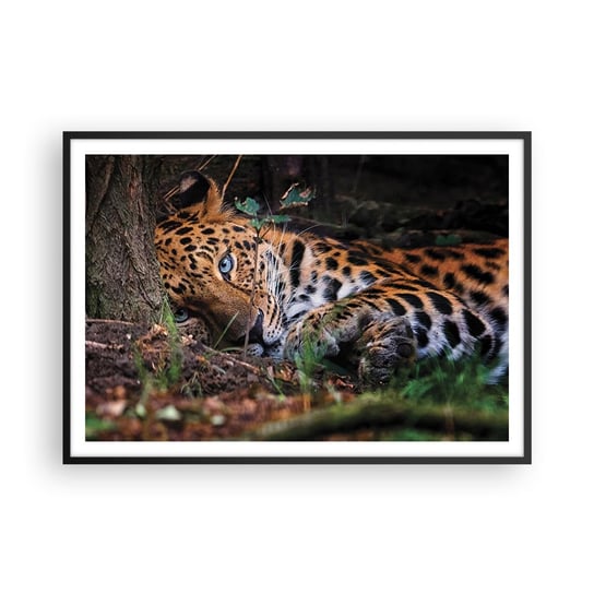 Obraz - Plakat - Zaufaj mi - 100x70cm - Lampart Zwierzęta Afryka - Foto Plakaty w ramie koloru czarnego do Salonu Sypialni ARTTOR ARTTOR