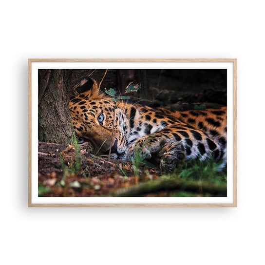 Obraz - Plakat - Zaufaj mi - 100x70cm - Lampart Zwierzęta Afryka - Foto Plakaty w ramie koloru jasny dąb do Salonu Sypialni ARTTOR ARTTOR