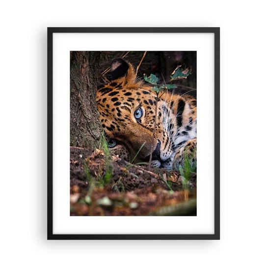 Obraz - Plakat - Zaufaj mi - 40x50cm - Lampart Zwierzęta Afryka - Foto Plakaty w ramie koloru czarnego do Salonu Sypialni ARTTOR ARTTOR