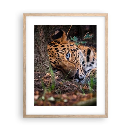 Obraz - Plakat - Zaufaj mi - 40x50cm - Lampart Zwierzęta Afryka - Foto Plakaty w ramie koloru jasny dąb do Salonu Sypialni ARTTOR ARTTOR