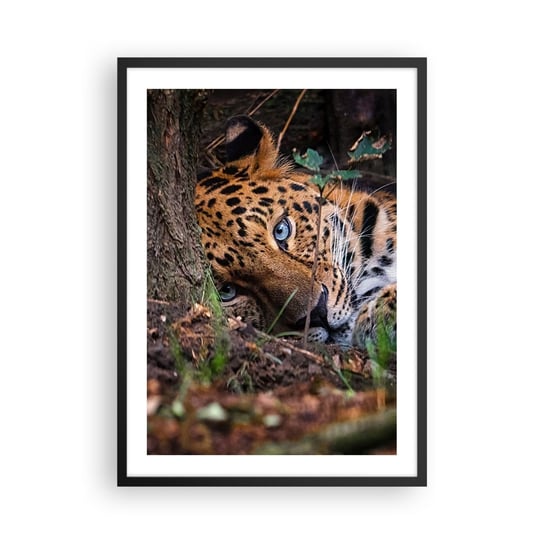 Obraz - Plakat - Zaufaj mi - 50x70cm - Lampart Zwierzęta Afryka - Nowoczesny modny obraz Plakat czarna rama ARTTOR ARTTOR