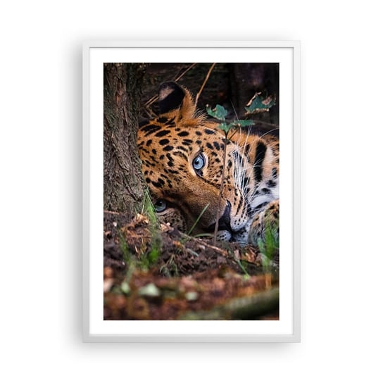 Obraz - Plakat - Zaufaj mi - 50x70cm - Lampart Zwierzęta Afryka - Nowoczesny modny obraz Plakat rama biała ARTTOR ARTTOR