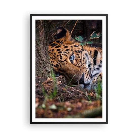 Obraz - Plakat - Zaufaj mi - 70x100cm - Lampart Zwierzęta Afryka - Foto Plakaty w ramie koloru czarnego do Salonu Sypialni ARTTOR ARTTOR