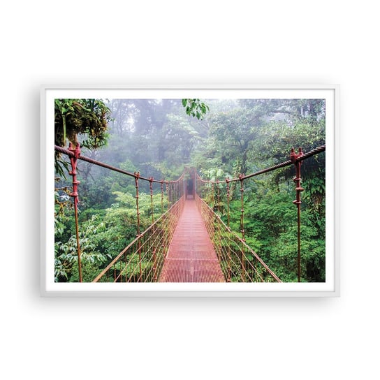Obraz - Plakat - Zawieszony nad koronami - 100x70cm - Krajobraz Dżungla Kostaryka - Foto Plakaty w ramie koloru białego do Salonu Sypialni ARTTOR ARTTOR