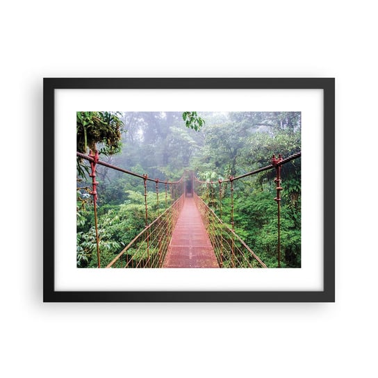 Obraz - Plakat - Zawieszony nad koronami - 40x30cm - Krajobraz Dżungla Kostaryka - Foto Plakaty na ścianę w czarnej ramie - Plakat do Salonu Sypialni ARTTOR ARTTOR