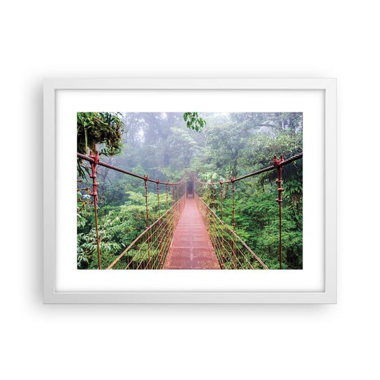 Obraz - Plakat - Zawieszony nad koronami - 40x30cm - Krajobraz Dżungla Kostaryka - Foto Plakaty na ścianę w ramie białej - Plakat do Salonu Sypialni ARTTOR ARTTOR