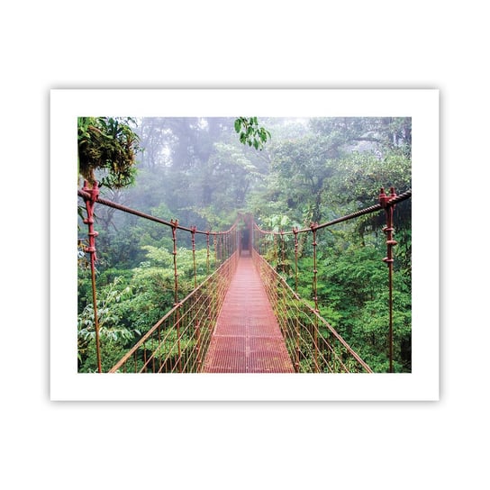 Obraz - Plakat - Zawieszony nad koronami - 50x40cm - Krajobraz Dżungla Kostaryka - Foto Plakaty bez ramy do Salonu Sypialni ARTTOR ARTTOR