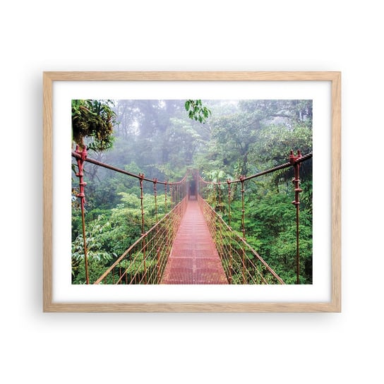 Obraz - Plakat - Zawieszony nad koronami - 50x40cm - Krajobraz Dżungla Kostaryka - Foto Plakaty w ramie koloru jasny dąb do Salonu Sypialni ARTTOR ARTTOR