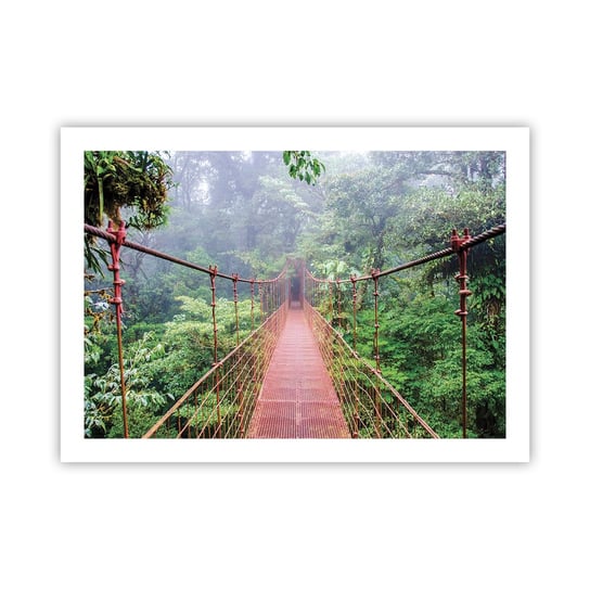 Obraz - Plakat - Zawieszony nad koronami - 70x50cm - Krajobraz Dżungla Kostaryka - Nowoczesny modny obraz Plakat bez ramy do Salonu Sypialni ARTTOR ARTTOR