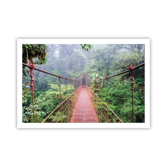 Obraz - Plakat - Zawieszony nad koronami - 91x61cm - Krajobraz Dżungla Kostaryka - Foto Plakaty na ścianę bez ramy - Plakat do Salonu Sypialni ARTTOR ARTTOR