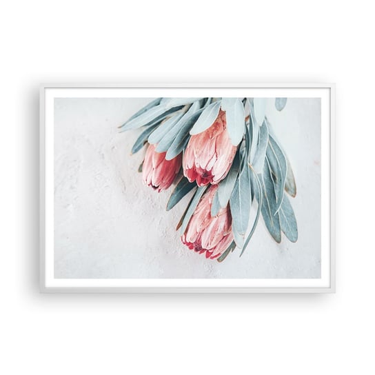 Obraz - Plakat - Zawstydzone własną urodą - 100x70cm - Kwiat Protea Królewska Afryka - Foto Plakaty w ramie koloru białego do Salonu Sypialni ARTTOR ARTTOR