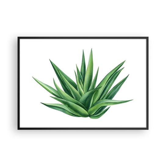 Obraz - Plakat - Zieleń – siła – życie - 100x70cm - Roślina Aloes Botanika - Foto Plakaty w ramie koloru czarnego do Salonu Sypialni ARTTOR ARTTOR